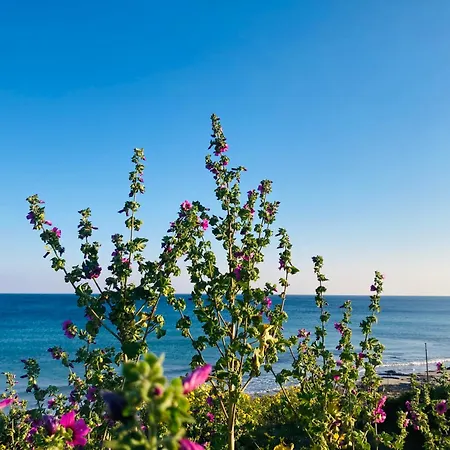 Il Profumo Del Mare A 150 Mt Dalla Bandiera Blu *